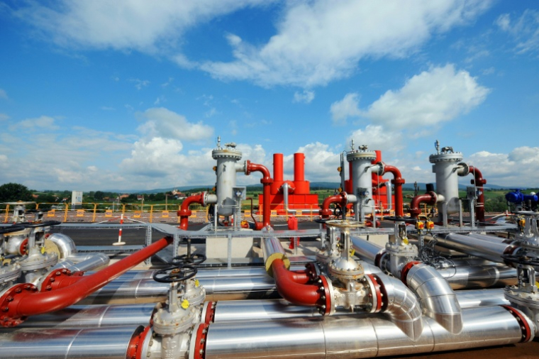 Site de production d'électricité géothermique à Soultz-Sous-Forets, dans l'est de la France, lors de son inauguration le 13 juin 2008 ( AFP / Frederick FLORIN )