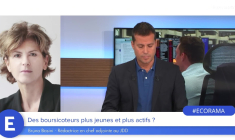 Des boursicoteurs plus jeunes et plus actifs ?