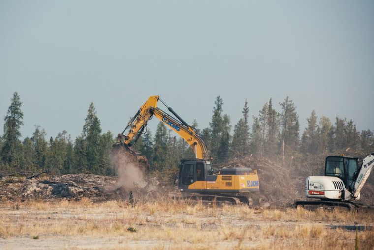 Les travailleurs coupent des arbres à Yellowknife, au Canada