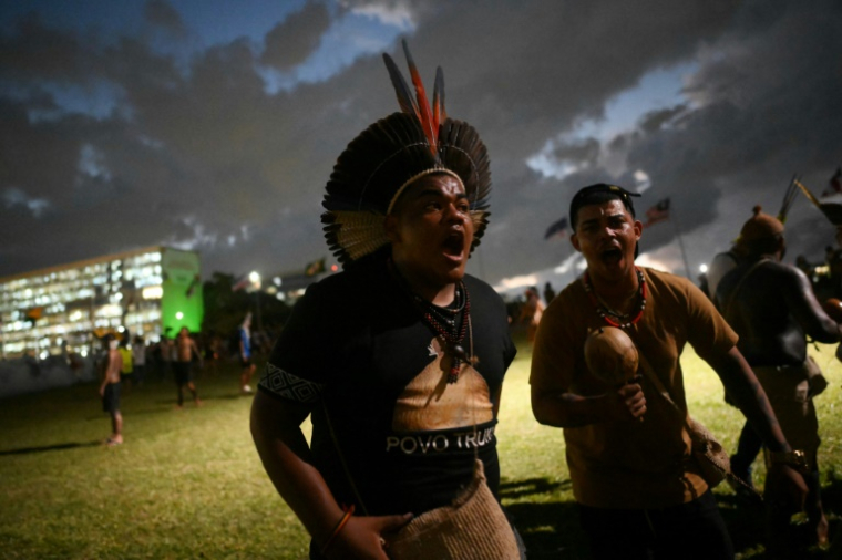 Des milliers d'indigènes brésiliens manifestent devant le Congrès, à Brasilia, le 10 avril 2025 ( AFP / MAURO PIMENTEL )