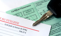 (Crédits photo : © Gilles Paire - stock.adobe.com)