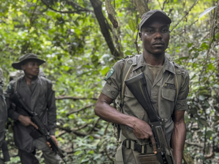 Festus Benjamin, un ranger de la fondation Africa Nature Investors, patrouille dans la forêt d'Okomu, dans le sud-ouest du Nigeria, le 11 novembre 2025 ( AFP / Leslie FAUVEL )