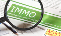 Une bonne recherche immobilière nécessite de l'optimisation. (Crédits: Adobe Sotck)