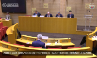 Aides aux grandes entreprises: audition de l'ex ministre Bruno Le Maire au Sénat