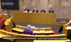Aides aux grandes entreprises: audition de l'ex ministre Bruno Le Maire au Sénat