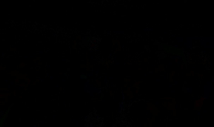 La Syrie célèbre l'anniversaire de la chute d'Assad