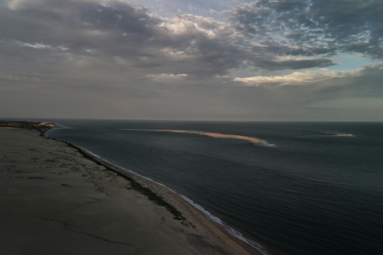 Le banc d'Arguin, îlot "mouvant" de sable près d'Arcachon, en Gironde, le 20 avril 2026 ( AFP / Philippe LOPEZ )