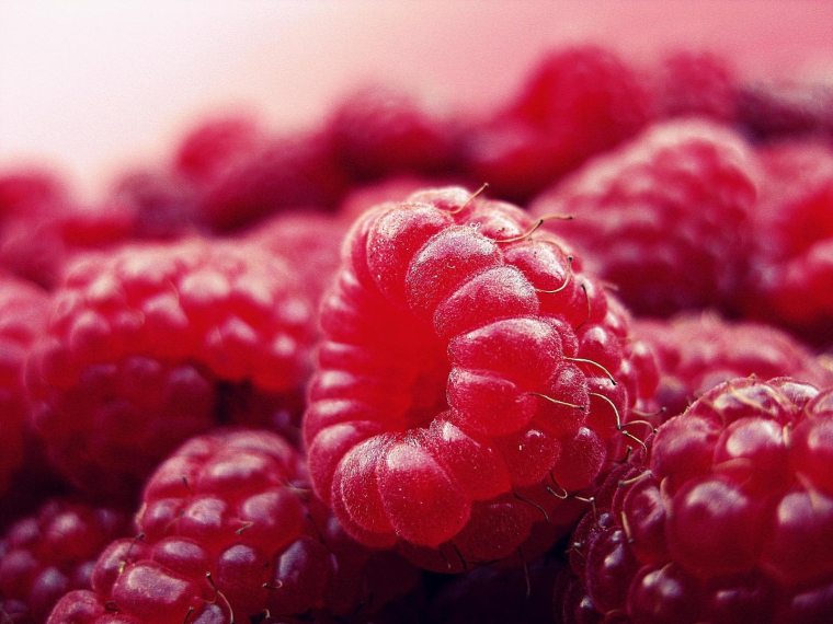 Des framboises enrobées de chocolat, la recette du succès fou de Franui. (illustration) (Pixabay / DGlodowska)