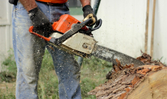 (Crédits: Unsplash - Tim Umphreys)