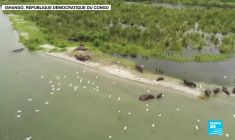 L'écoféminisme, une "arme de déconstruction massive"