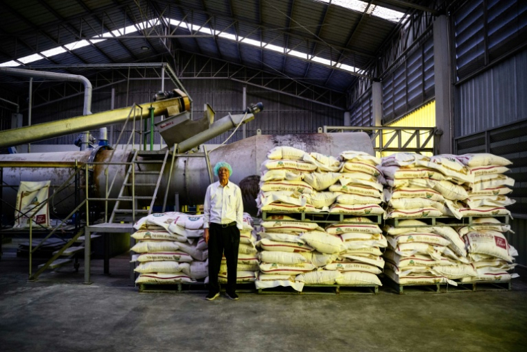 Le scientifique Wichien Yongmanitchai, qui a mis au point un produit microbien appelé "Soil Digest", dans son usine à Samut Sakhon en Thaïlande, le 10 mars 2026 ( AFP / ANTHONY WALLACE )