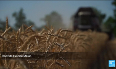 Présidentielle en Russie : l'économie Russe résiste aux sanctions