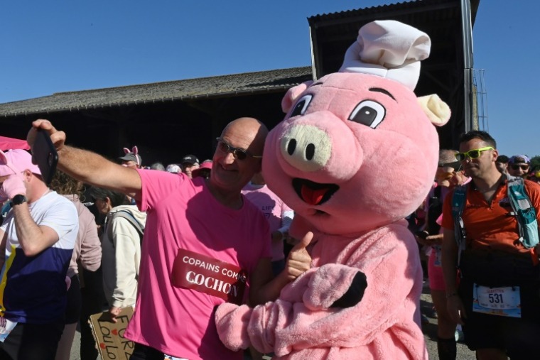 Un participant fait un selfie avec une personne en costume de cochon à l'occasion de la course "Pig and Run" organisée à Merlevenez par la profession porcine, le 18 mai 2025 dans le Morbihan ( AFP / JEAN-FRANCOIS MONIER )