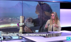 Législatives : immigration, quels programmes ?