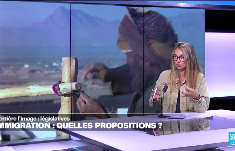 Législatives : immigration, quels programmes ?