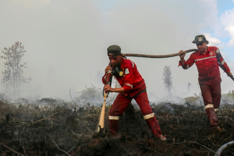 Des pompiers luttent contre des incendies sur des tourbières à Pulang Pisau, en raison d'une saison sèche prolongée, le 31 juillet 2026 dans la province du Kalimantan central, en Indonésie ( AFP / REINA )