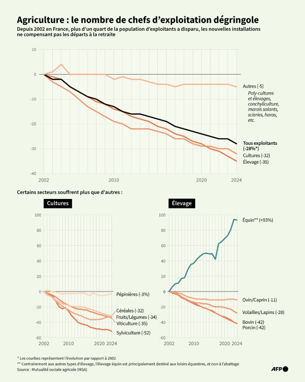 Courbes en base 0 montrant l'évolution du nombre de chefs d'exploitations de 2002 à 2024 en France. ( AFP / Jean-Philippe CHOGNOT )