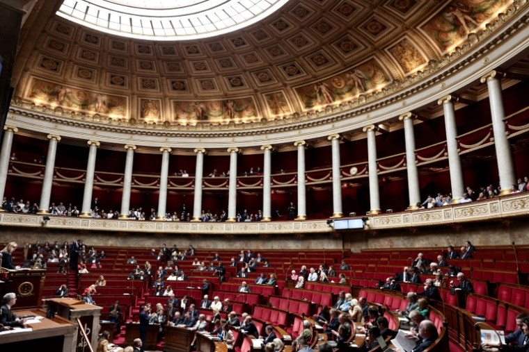 Saisie du projet de loi de "simplification", l'Assemblée nationale a approuvé mercredi coup sur coup un recul du principe de "zéro artificialisation nette", et surtout la suppression des zones à faibles émissions ( AFP / Thibaud MORITZ )