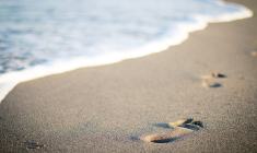 Le sud de la France a la cote cette année auprès des vacanciers français. (illustration) (Pixabay / Pexels)