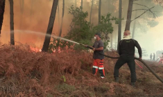 Incendies en Gironde: des pompiers et des civils luttent contre une reprise de feu à Lanton