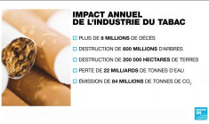 Le tabac, "poison" de l'environnement, selon l'OMS