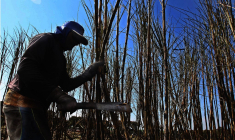 ( AFP / NELSON ALMEIDA )