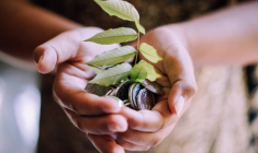 L'Épargne solidaire séduit les Français / iStock-Kadek Bonit Permadi