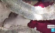 Bénin : IOTA SO, la start-up qui connecte les objets du quotidien