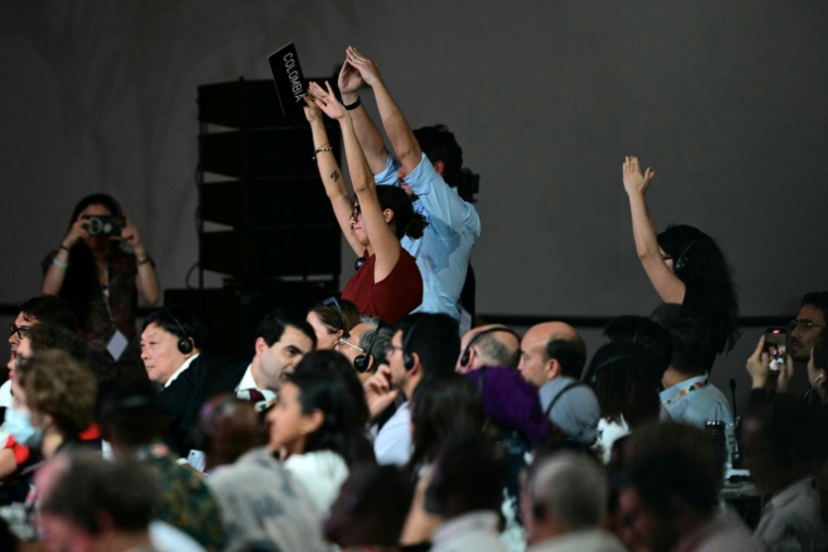 Daniela Duran (à gauche), représentante de la Colombie, pendant la session plénière de la COP30 à Belem, Brésil, le 22 novembre 2025 ( AFP / Pablo PORCIUNCULA )