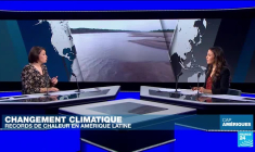 Du Canada à l'Amazonie : quel est l'impact du réchauffement climatique ?
