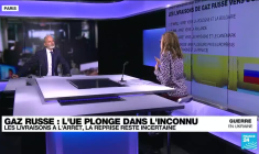 Gaz russe : les pays européens s'inquiètent d'une rupture des approvisionnements