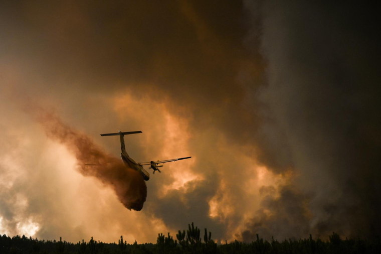 Des pompiers qui luttent contre l'incendie en Gironde, le 10 août 2022. ( AFP / Philippe LOPEZ )