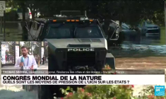 Congrès mondial de la nature : la situation de la biodiversité au cœur des discussions