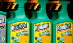 ROUNDUP: DES JURÉS CALIFORNIENS DONNENT TORT À BAYER