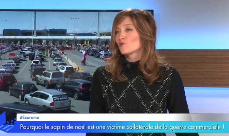 Pourquoi le sapin de noël est une victime collatérale de la guerre commerciale !