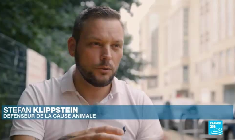 Le trafic de chiots en Europe, une "mafia très bien organisée"