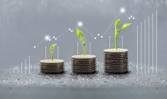 L'ISF va-t-il faire son retour en France... verdi cette fois ? (Crédit photo : Adobe Stock)