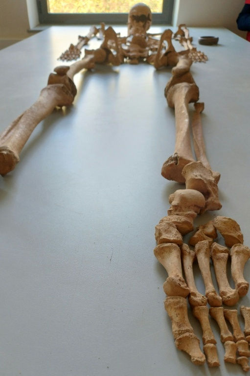 Un squelette reconstitué découvert sur un site de fouilles archéologiques à Dijon, le 17 mars 2026 en Côte d'Or ( AFP / Frédéric BOURIGAULT )