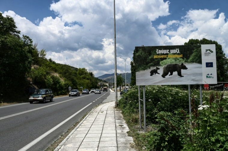 Un panneau de signalisation "Nous vivons ensemble, réduisez votre vitesse" indique un passage d'ours le long d'une route près de Kastoria, dans le nord-ouest de la Grèce, le 22 juin 2026 ( AFP / Sakis Mitrolidis )