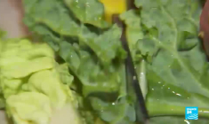 De l'Auvergne au Béarn, le tour de France des soupes