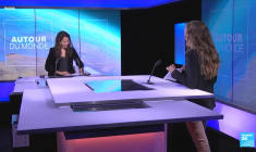 La Slovénie ne tue plus ses abeilles en se passant des neonicotinoïdes