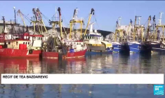 Pêche post-Brexit : 40 licences accordées à des bateaux français