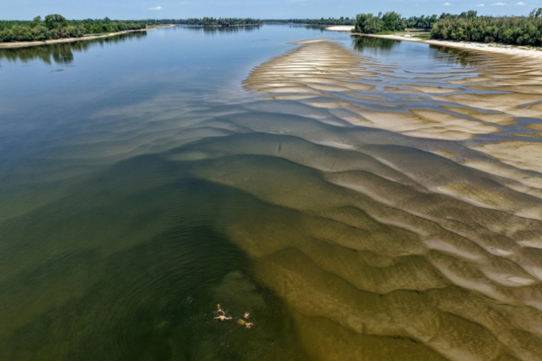 Le bas niveau du Danube près de Backa Palanka, en Serbie, le 19 juillet 2026. ( AFP / Nenad MIHAJLOVIC )