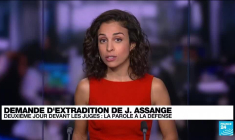 Demande d'extradition de Julian Assange : deuxième jour devant les juges