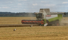 Récolte du blé dans la région de Kyiv sur fond d'attaque de la Russie contre l'Ukraine