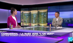 Cannabidiol : "La filière française de CBD est en train de se mettre en place"