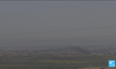 5 mois de guerre à Gaza : reprise des pourparlers de trêve