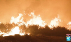 Incendie : le "Park Fire" dévaste la Californie