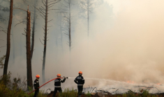 Des pompiers luttent contre un incendie à Arès, en Gironde, le 26 juillet 2026 ( AFP / ROMAIN PERROCHEAU )