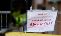 Photo d'archives: Des panneaux d'avertissement à l'extérieur d'une ferme d'élevage de canards à Nafferton, en Angleterre